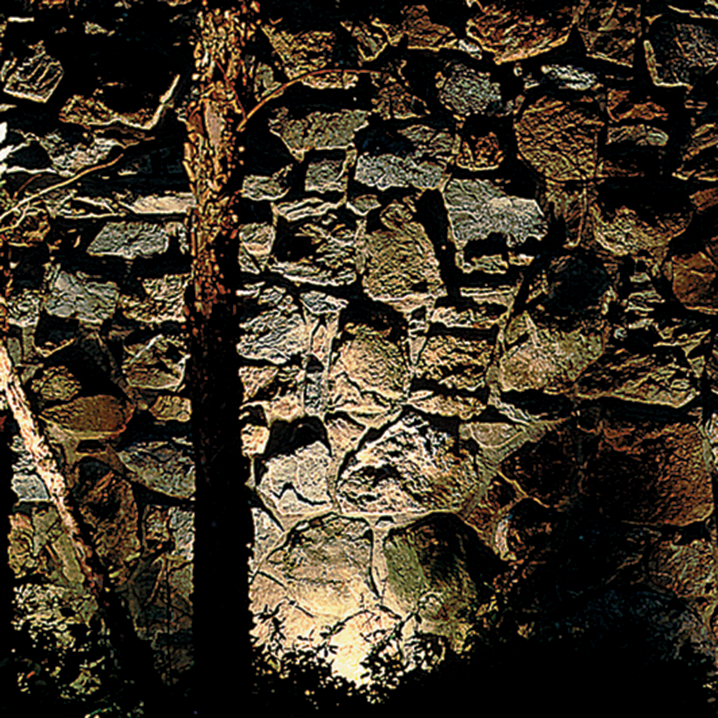 a rock wall in the dark with a light grazing the surface, showing dramatic detail