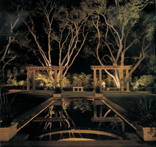 a pond in the dark with cross lighting causing reflections in water