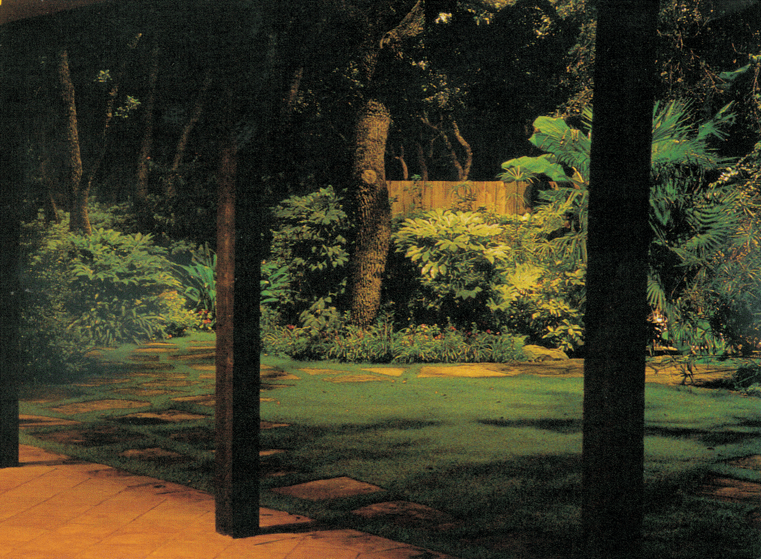 a yard in the night with trees in the foreground and a lit path behind the trees