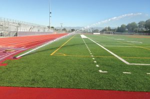 synthetic turf