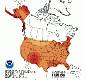 fall-map