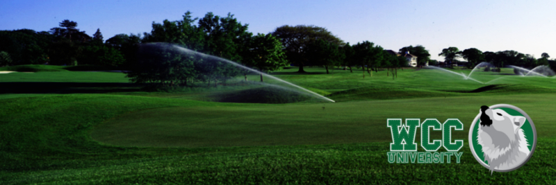 Sprinklers on golf course