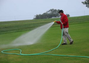 handwatering