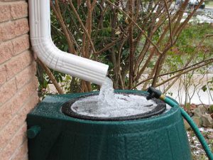 rainwater-harvesting