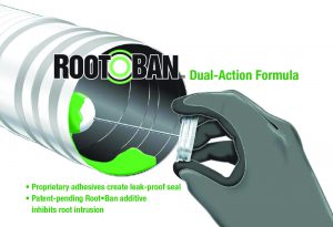 root-ban