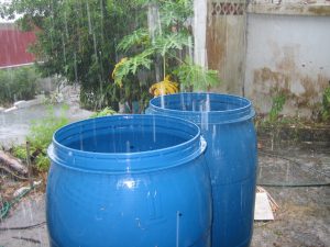 rainwater2