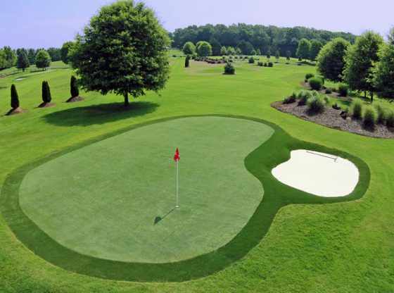 Golf Course Artificial turf