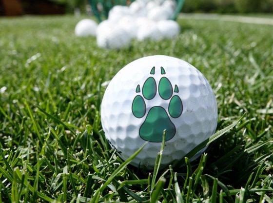 Wolf Creek Golf Paw