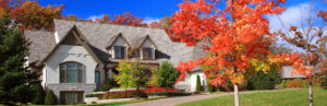 Buckeye Homescapes Google My Business
