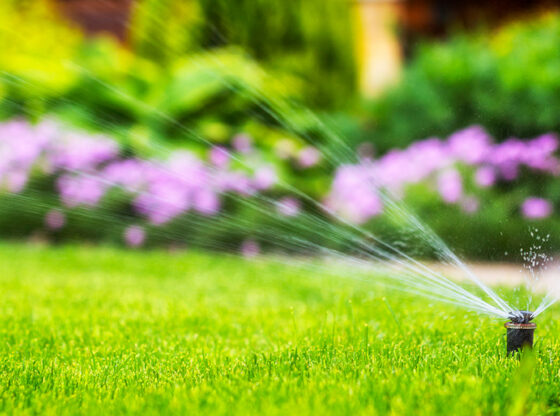 automatic sprinkler system watering the lawn with purple flowers and bushes